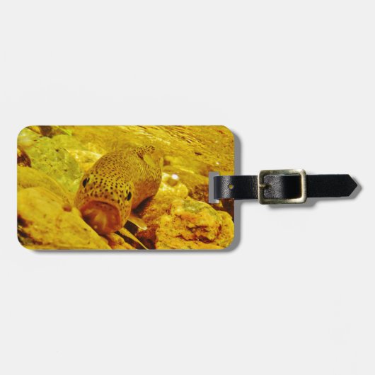 Forel in stroom bagagelabel (Voorkant horizontaal)