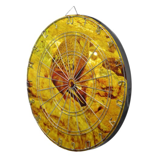 Forel in stroom dartbord (Voorkant Rechts)