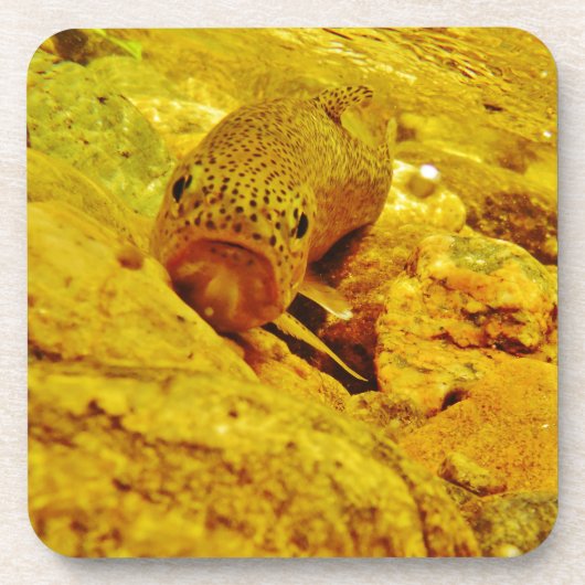 Forel in stroom drankjes onderzetter (Voorkant)