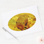 Forel in stroom ovale sticker (Envelop)