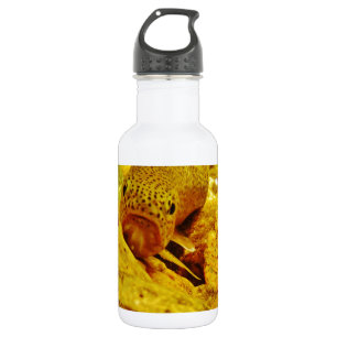 Forel in stroom waterfles