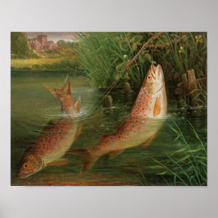 Forel in Winchester Poster