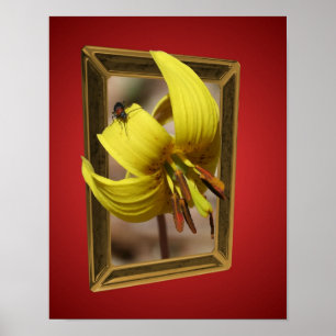 Forel Lily Flower Out of Bounds Art Poster