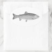  forel ovale sticker (Tas)