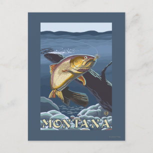 Forel Vist dwarsdoorsnede — Montana Briefkaart