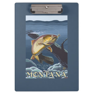 Forel Vist dwarsdoorsnede — Montana Klembord