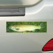 forel, vlieg, visserij bumpersticker (Op auto)