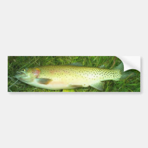 forel, vlieg, visserij bumpersticker