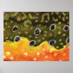 forelvisserij poster