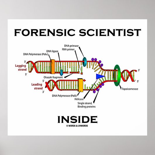 Forensische wetenschapper Inside (DNA-replicatie) Poster (Voorkant)