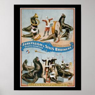 Forepaugh en Sells - circuszeelui Poster