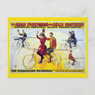 Forepaugh & Sells Brothers  Circus Poster Briefkaart