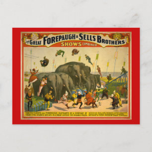 Forepaugh & Sells Brothers Elephants Circus Poster Briefkaart