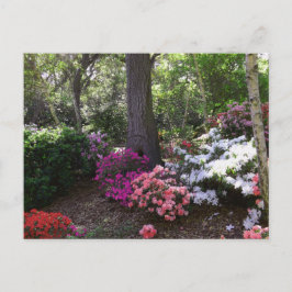 Forest and Flowers Postcard Briefkaart