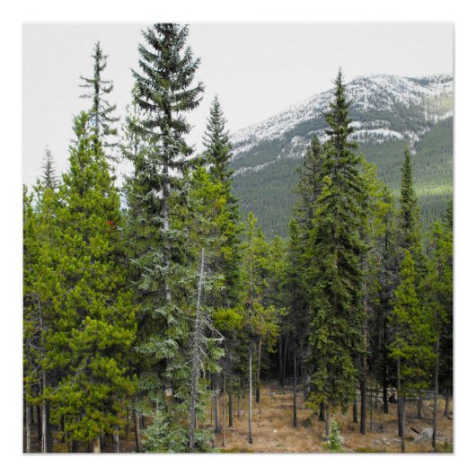 Forest and Mountain Scene Perfect Poster (Voorkant)