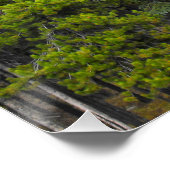 Forest and Mountain Scene Perfect Poster (Hoek)