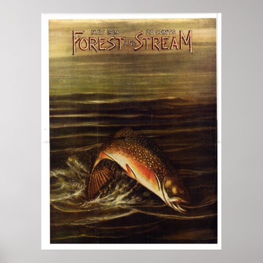 Forest and Stream 1919 Poster (Voorkant)