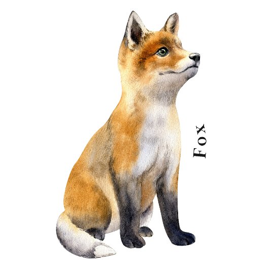 Forest Animals Educational Poster Perfect Poster