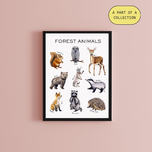 Forest Animals Educational Poster Perfect Poster