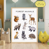Forest Animals Educational Poster Perfect Poster