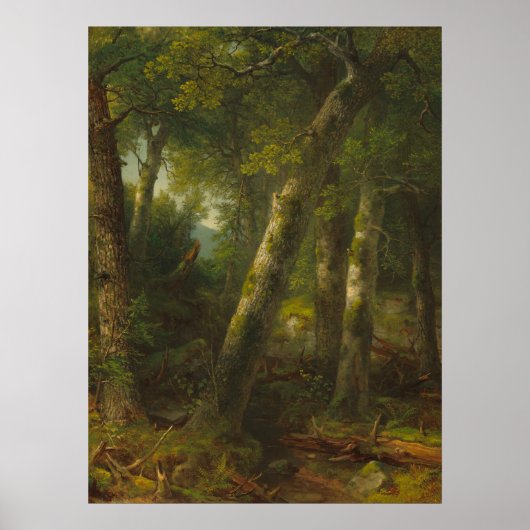 Forest - Asher Durand Fine Art Poster (Voorkant)