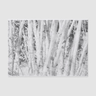 Forest Black en White Birch Trees Tissuepapier