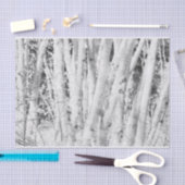 Forest Black en White Birch Trees Tissuepapier (Craft)