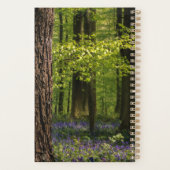 Forest | Bluebells en Belgique (Dos)