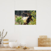 Forest Bull Elk Photo Nature Wall Poster Mancave (Cuisine)