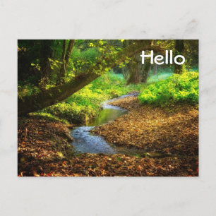 Forest Creek Beauful Natuur Landscape Foto Briefkaart
