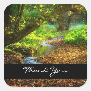 Forest Creek Beauful Natuur Landscape Foto Vierkante Sticker