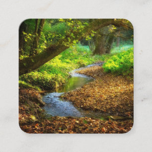 Forest Creek Beauful Natuur Landscape Foto Vierkante Visitekaartje