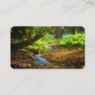 Forest Creek Beauful Natuur Landscape Foto Visitekaartje
