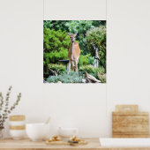 Forest Deer Poster (Keuken)