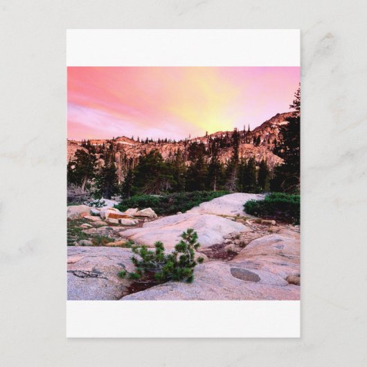 Forest Desolation Wilderness Eldorado Briefkaart (Voorkant)
