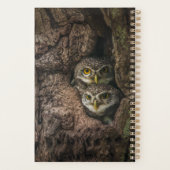 Forest | Deux Owls Looking (Dos)