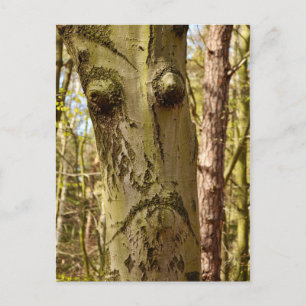 Forest Ent-briefkaart Briefkaart