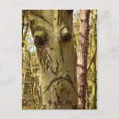 Forest Ent-briefkaart Briefkaart (Voorkant)