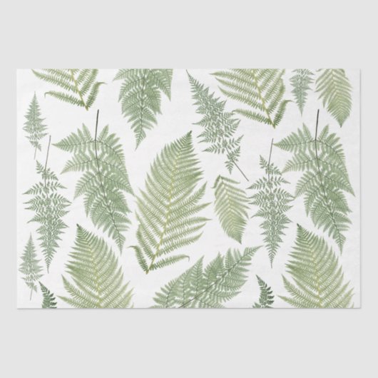 Forest Fern Fronds  Greenery Botanical Tissuepapier (Voorkant)