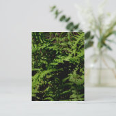 Forest Floor Ferns Briefkaart (Staand voorkant)