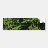 Forest Floor Ferns Bumpersticker (Voorkant)