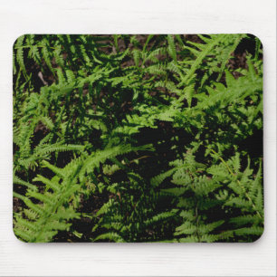 Forest Floor Ferns Muismat