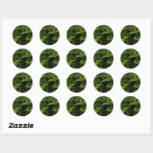 Forest Floor Ferns Ronde Sticker (Vel)