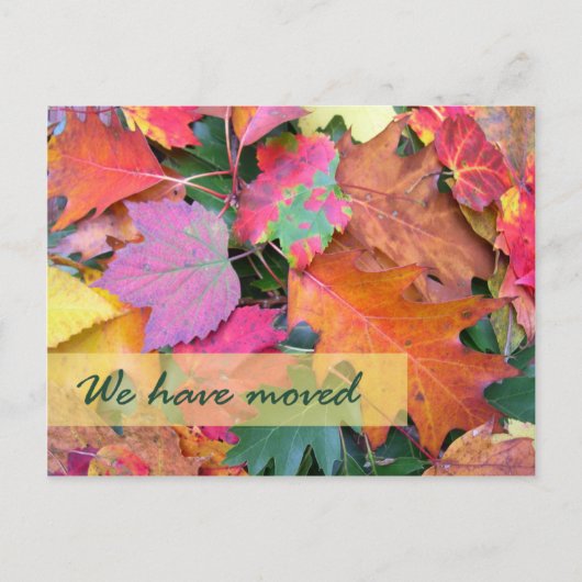 Forest Floor Nieuw adres Sjabloon (Voorkant)