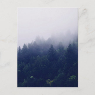 Forest Fog Briefkaart