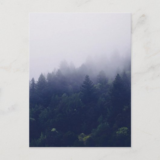 Forest Fog Briefkaart (Voorkant)