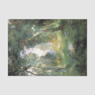 Forest Glade, Santa Barbara, Californië (Woodland) Tissuepapier