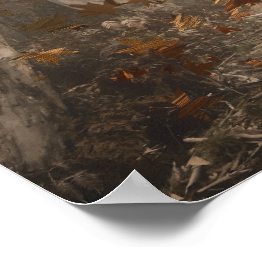 Forest Gypsy 1 Poster (Hoek)