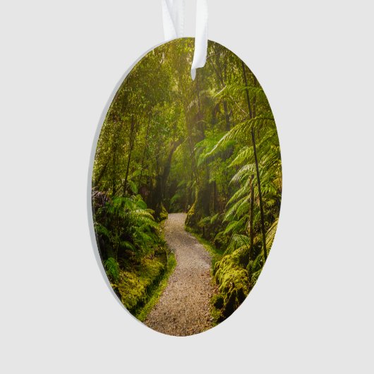 Forest | Into Forest (devant)