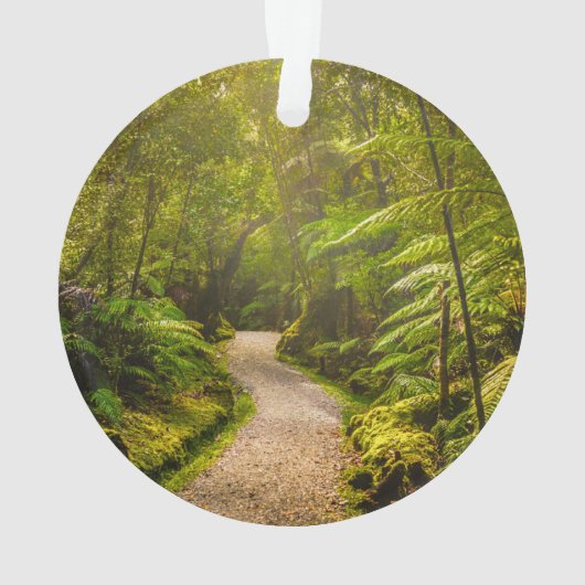 Forest | Into Forest (dos)